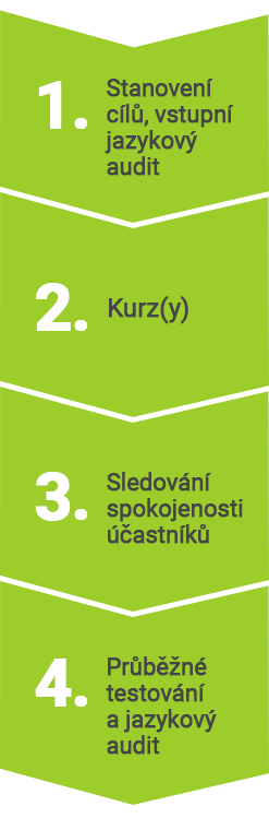 Infografika Průběh jazykových kurzů od Tandemu